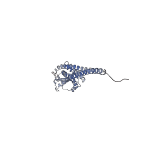 10473_6te0_G_v1-0
Cryo-EM structure of Euglena gracilis mitochondrial ATP synthase, OSCP/F1/c-ring, rotational state 3