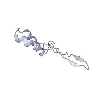 10473_6te0_I_v1-0
Cryo-EM structure of Euglena gracilis mitochondrial ATP synthase, OSCP/F1/c-ring, rotational state 3