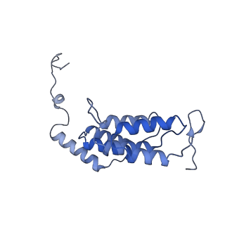 10473_6te0_J_v1-0
Cryo-EM structure of Euglena gracilis mitochondrial ATP synthase, OSCP/F1/c-ring, rotational state 3