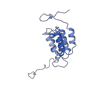 10473_6te0_K_v1-0
Cryo-EM structure of Euglena gracilis mitochondrial ATP synthase, OSCP/F1/c-ring, rotational state 3