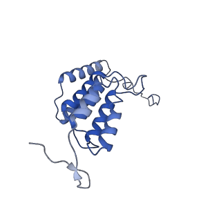 10473_6te0_L_v1-0
Cryo-EM structure of Euglena gracilis mitochondrial ATP synthase, OSCP/F1/c-ring, rotational state 3