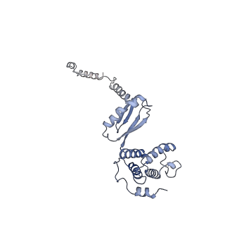 10473_6te0_M_v1-0
Cryo-EM structure of Euglena gracilis mitochondrial ATP synthase, OSCP/F1/c-ring, rotational state 3