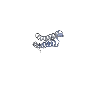 10473_6te0_X_v1-0
Cryo-EM structure of Euglena gracilis mitochondrial ATP synthase, OSCP/F1/c-ring, rotational state 3