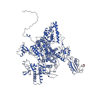 10480_6ted_A_v1-0
Structure of complete, activated transcription complex Pol II-DSIF-PAF-SPT6 uncovers allosteric elongation activation by RTF1