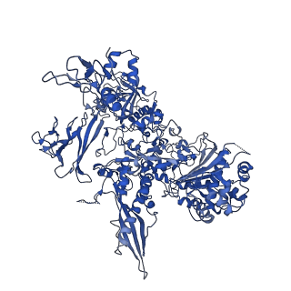 10480_6ted_B_v1-0
Structure of complete, activated transcription complex Pol II-DSIF-PAF-SPT6 uncovers allosteric elongation activation by RTF1