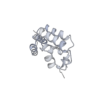 10480_6ted_D_v1-0
Structure of complete, activated transcription complex Pol II-DSIF-PAF-SPT6 uncovers allosteric elongation activation by RTF1