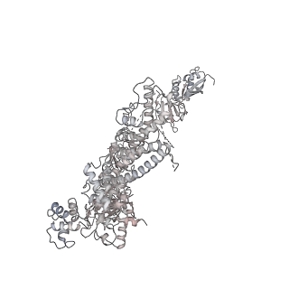 10480_6ted_M_v1-0
Structure of complete, activated transcription complex Pol II-DSIF-PAF-SPT6 uncovers allosteric elongation activation by RTF1