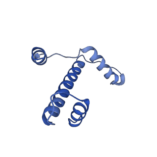 10822_6tem_E_v1-4
CENP-A nucleosome core particle with 145 base pairs of the Widom 601 sequence by cryo-EM