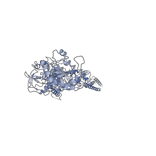 25843_7te9_A_v1-0
Cryo-EM structure of GluN1b-2B NMDAR complexed to Fab2 class1
