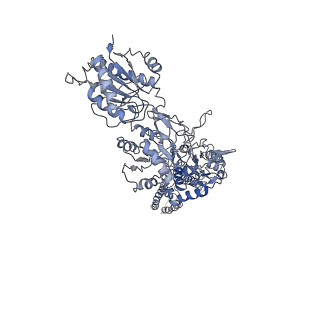 25843_7te9_B_v1-0
Cryo-EM structure of GluN1b-2B NMDAR complexed to Fab2 class1