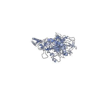 25843_7te9_C_v1-0
Cryo-EM structure of GluN1b-2B NMDAR complexed to Fab2 class1