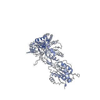 25843_7te9_D_v1-0
Cryo-EM structure of GluN1b-2B NMDAR complexed to Fab2 class1