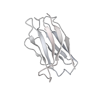 25843_7te9_M_v1-0
Cryo-EM structure of GluN1b-2B NMDAR complexed to Fab2 class1