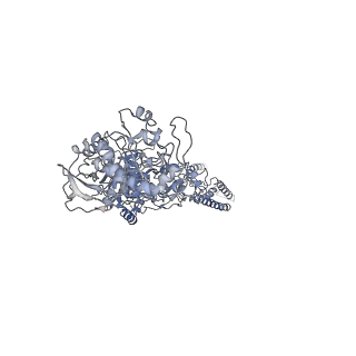 25844_7teb_A_v1-0
Cryo-EM structure of GluN1b-2B NMDAR complexed to Fab2 non-active1-like