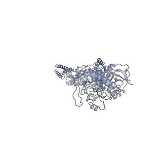 25844_7teb_C_v1-0
Cryo-EM structure of GluN1b-2B NMDAR complexed to Fab2 non-active1-like