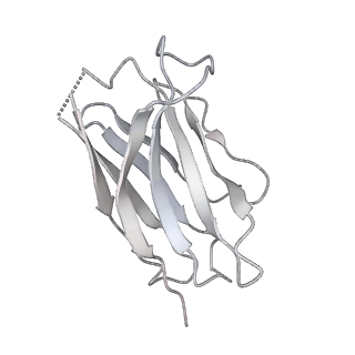 25844_7teb_H_v1-0
Cryo-EM structure of GluN1b-2B NMDAR complexed to Fab2 non-active1-like