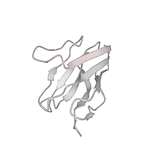 25844_7teb_L_v1-0
Cryo-EM structure of GluN1b-2B NMDAR complexed to Fab2 non-active1-like