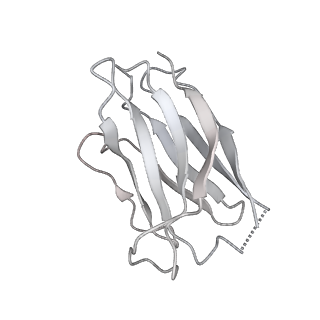 25844_7teb_M_v1-0
Cryo-EM structure of GluN1b-2B NMDAR complexed to Fab2 non-active1-like