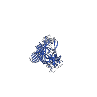 25846_7tei_B_v1-1
SARS-CoV-2 Omicron 1-RBD up Spike Protein Trimer without the P986-P987 stabilizing mutations (S-GSAS-Omicron)