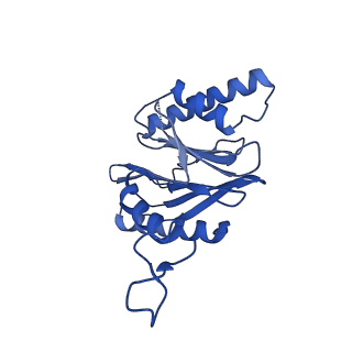 25847_7tej_1_v1-3
Cryo-EM structure of the 20S Alpha 3 Deletion proteasome core particle