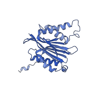 25847_7tej_2_v1-3
Cryo-EM structure of the 20S Alpha 3 Deletion proteasome core particle