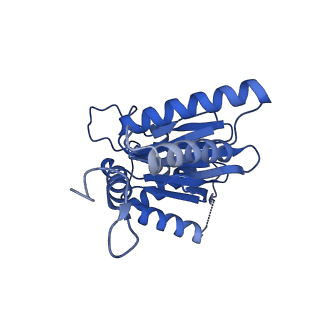 25847_7tej_A_v1-2
Cryo-EM structure of the 20S Alpha 3 Deletion proteasome core particle