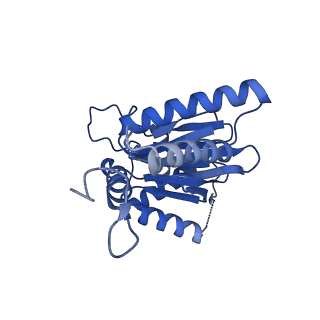 25847_7tej_A_v1-3
Cryo-EM structure of the 20S Alpha 3 Deletion proteasome core particle