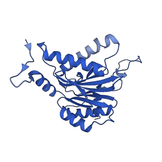 25847_7tej_B_v1-2
Cryo-EM structure of the 20S Alpha 3 Deletion proteasome core particle