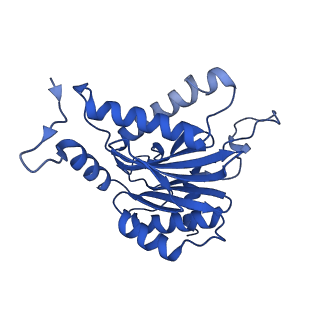 25847_7tej_B_v1-3
Cryo-EM structure of the 20S Alpha 3 Deletion proteasome core particle