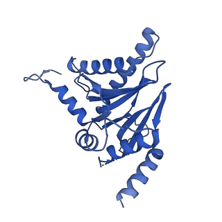 25847_7tej_C_v1-3
Cryo-EM structure of the 20S Alpha 3 Deletion proteasome core particle