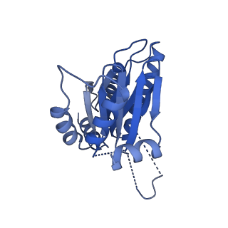 25847_7tej_D_v1-2
Cryo-EM structure of the 20S Alpha 3 Deletion proteasome core particle
