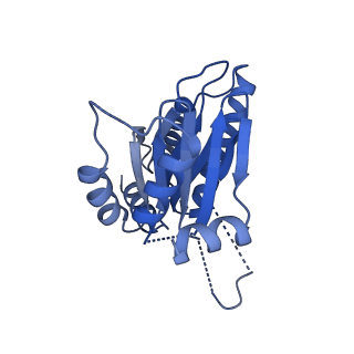 25847_7tej_D_v1-3
Cryo-EM structure of the 20S Alpha 3 Deletion proteasome core particle