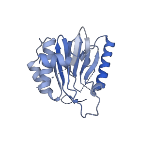 25847_7tej_E_v1-2
Cryo-EM structure of the 20S Alpha 3 Deletion proteasome core particle