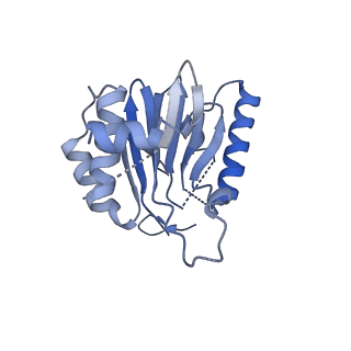 25847_7tej_E_v1-3
Cryo-EM structure of the 20S Alpha 3 Deletion proteasome core particle