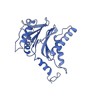 25847_7tej_F_v1-3
Cryo-EM structure of the 20S Alpha 3 Deletion proteasome core particle