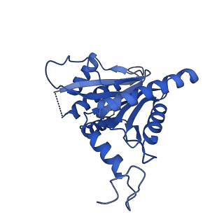 25847_7tej_G_v1-2
Cryo-EM structure of the 20S Alpha 3 Deletion proteasome core particle