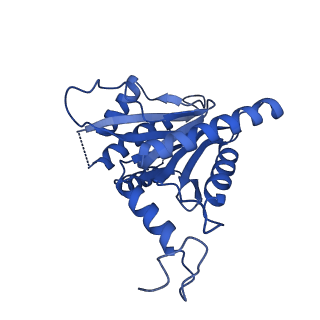 25847_7tej_G_v1-3
Cryo-EM structure of the 20S Alpha 3 Deletion proteasome core particle