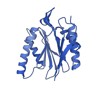 25847_7tej_J_v1-3
Cryo-EM structure of the 20S Alpha 3 Deletion proteasome core particle