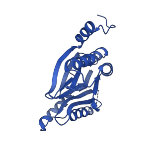 25847_7tej_L_v1-3
Cryo-EM structure of the 20S Alpha 3 Deletion proteasome core particle