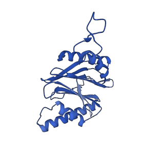 25847_7tej_M_v1-2
Cryo-EM structure of the 20S Alpha 3 Deletion proteasome core particle