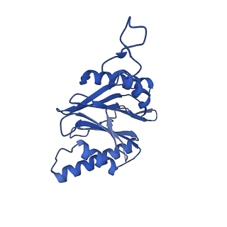 25847_7tej_M_v1-3
Cryo-EM structure of the 20S Alpha 3 Deletion proteasome core particle