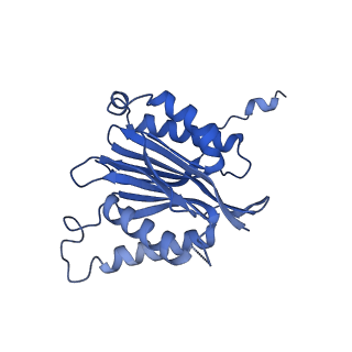 25847_7tej_N_v1-2
Cryo-EM structure of the 20S Alpha 3 Deletion proteasome core particle
