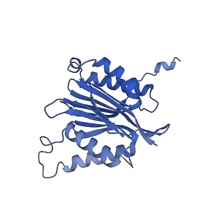 25847_7tej_N_v1-3
Cryo-EM structure of the 20S Alpha 3 Deletion proteasome core particle