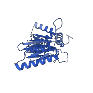 25847_7tej_O_v1-2
Cryo-EM structure of the 20S Alpha 3 Deletion proteasome core particle
