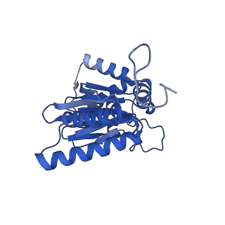 25847_7tej_O_v1-3
Cryo-EM structure of the 20S Alpha 3 Deletion proteasome core particle