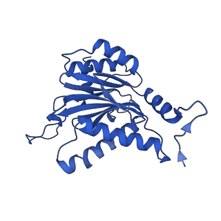 25847_7tej_P_v1-2
Cryo-EM structure of the 20S Alpha 3 Deletion proteasome core particle