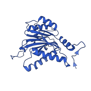 25847_7tej_P_v1-3
Cryo-EM structure of the 20S Alpha 3 Deletion proteasome core particle