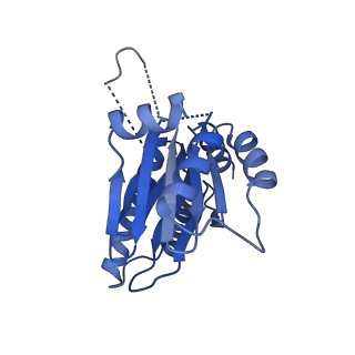 25847_7tej_R_v1-2
Cryo-EM structure of the 20S Alpha 3 Deletion proteasome core particle