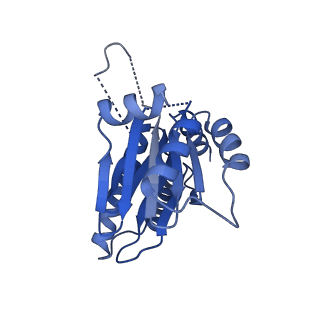 25847_7tej_R_v1-3
Cryo-EM structure of the 20S Alpha 3 Deletion proteasome core particle