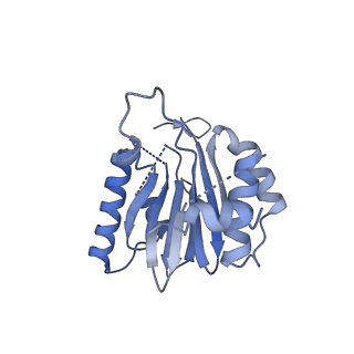 25847_7tej_S_v1-2
Cryo-EM structure of the 20S Alpha 3 Deletion proteasome core particle